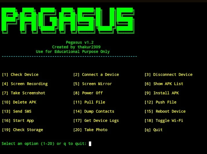 Pegasus Terminal 2