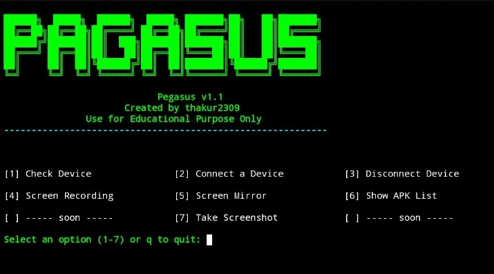 Pegasus Terminal 1