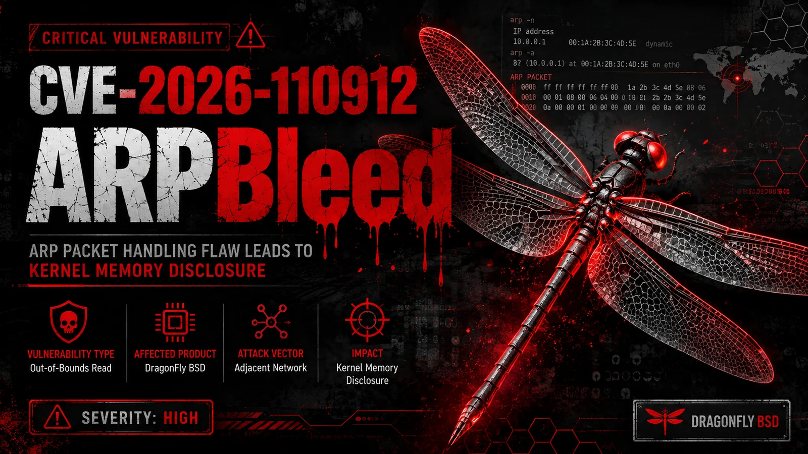 DragonFly BSD Vulnerability Alert