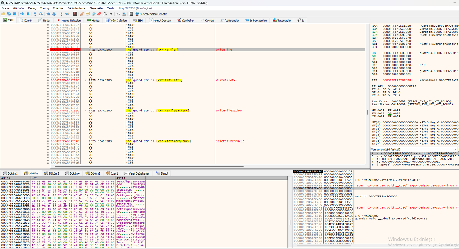 Amadey x64dbg fileio keylogger