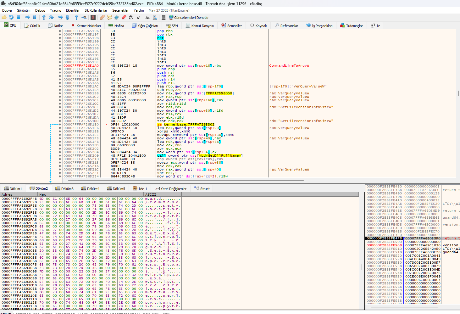 Amadey x64dbg cmdline bypass