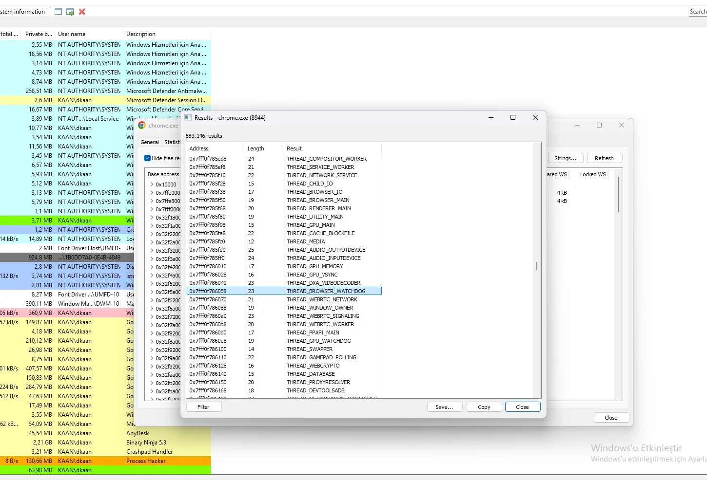vidar chrome injection