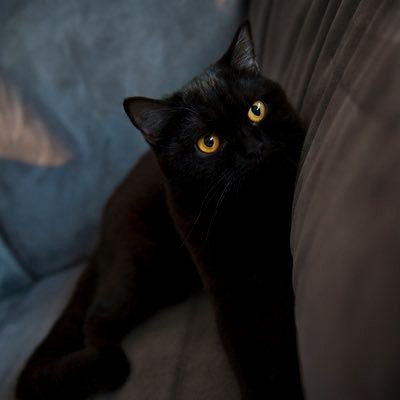 SLiNv