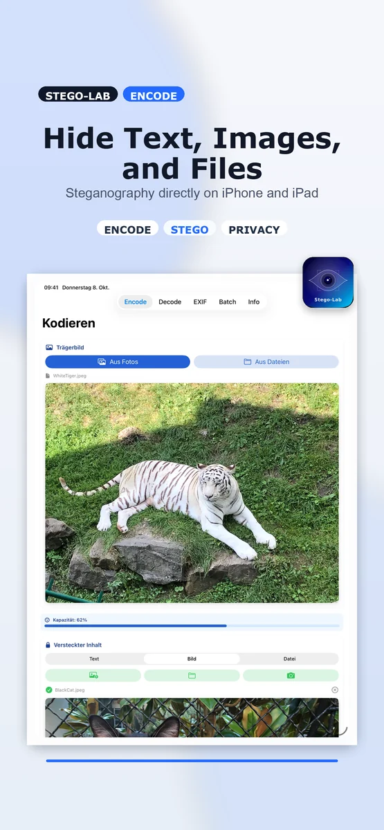 Encode screenshot