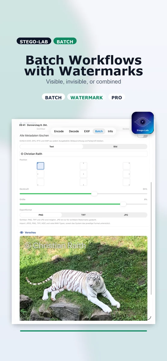 Batch screenshot