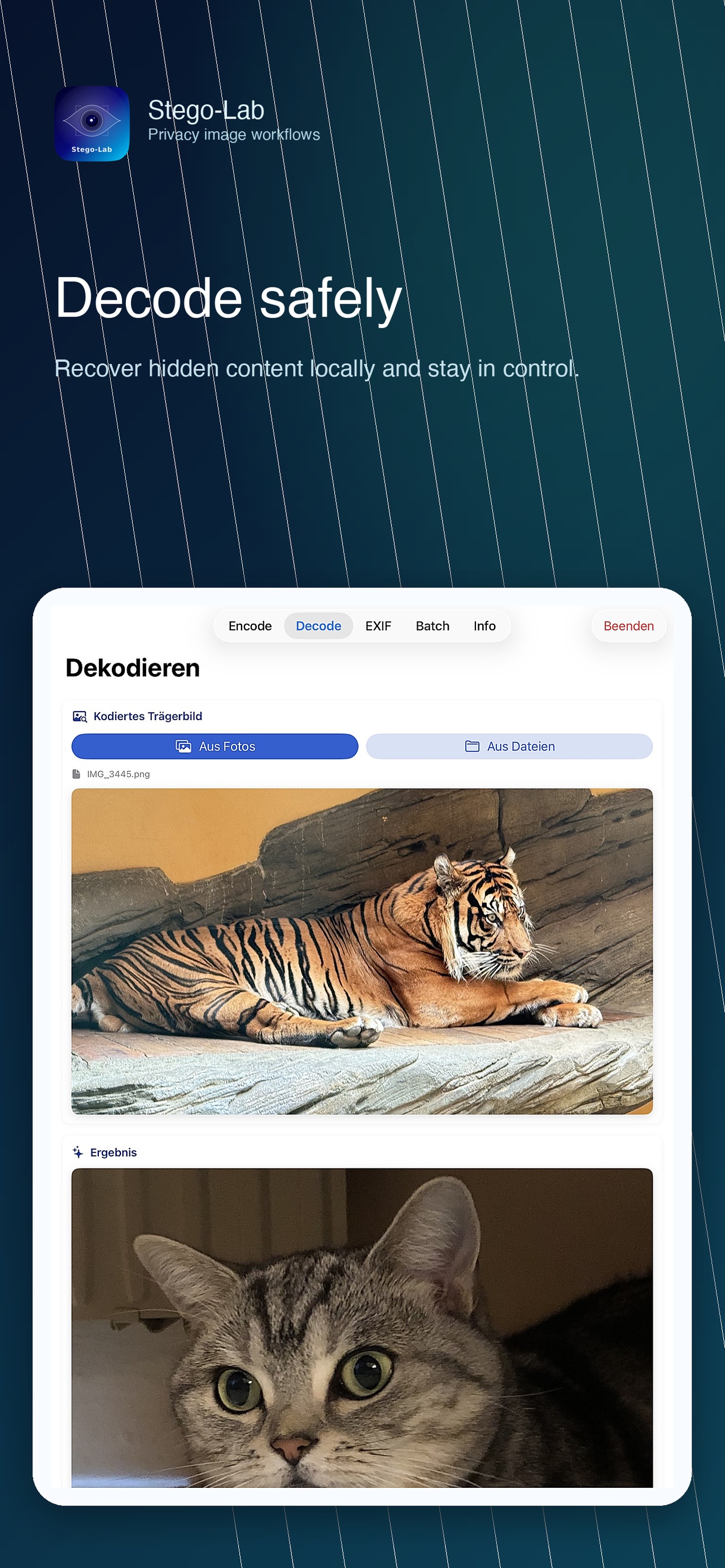 Captura de pantalla de decodificar