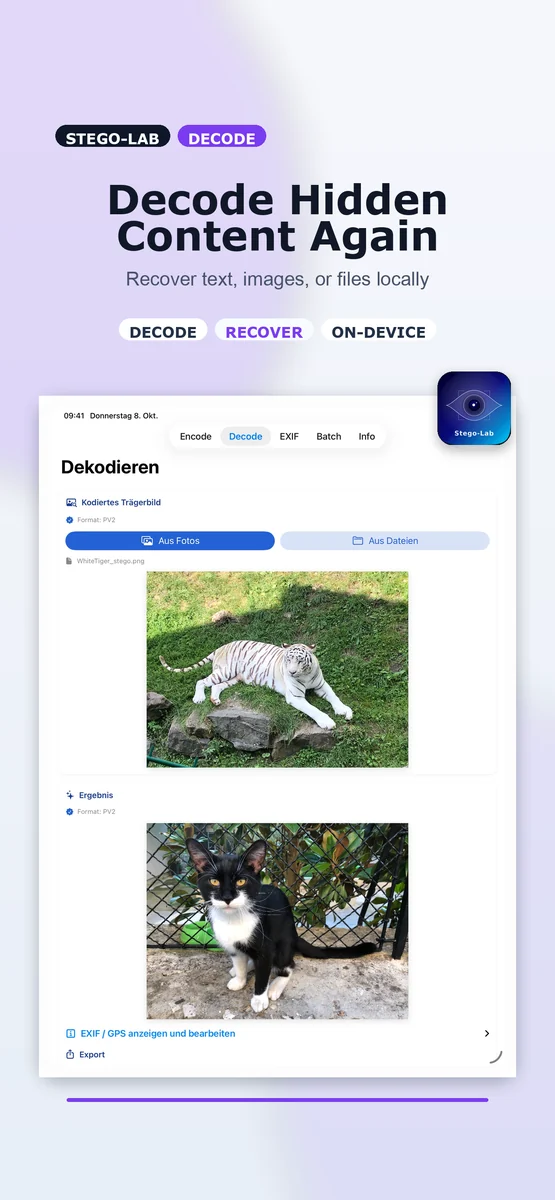 Decode screenshot