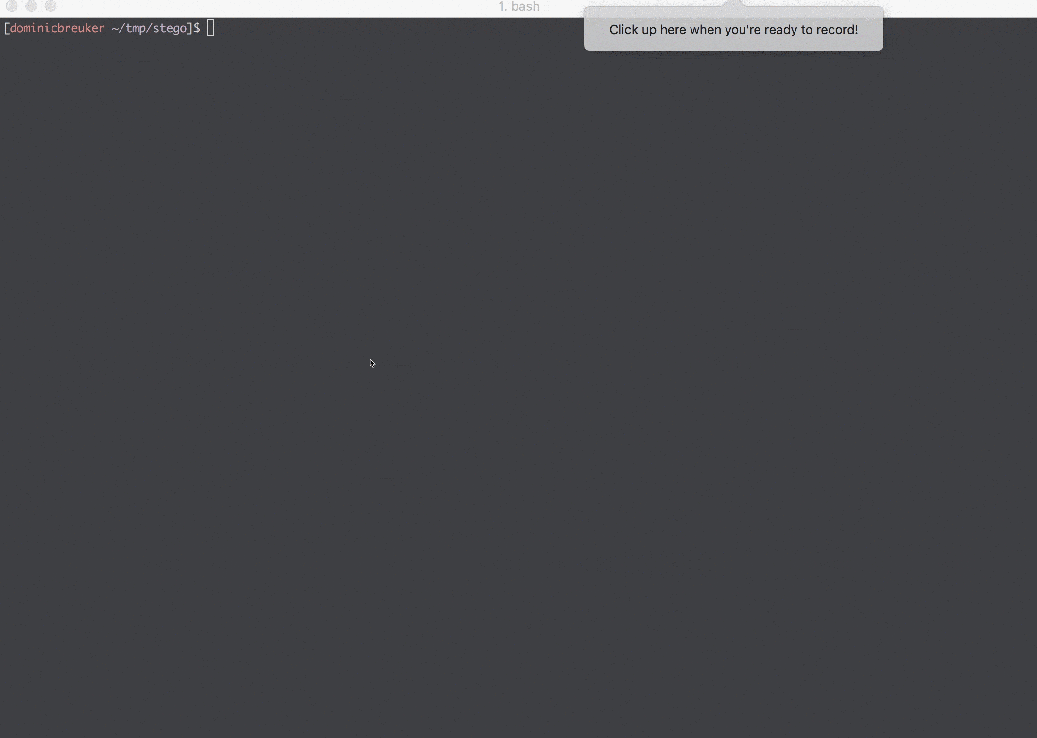 démo animée gif - Navigateur + VNC