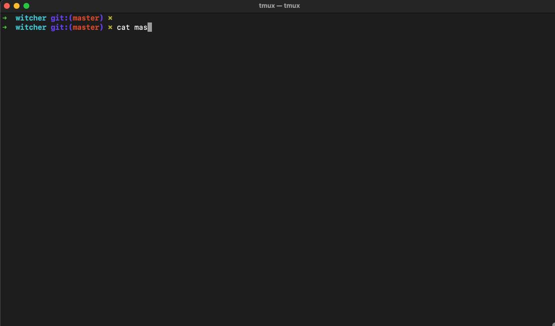 Witcher GHAS Demo