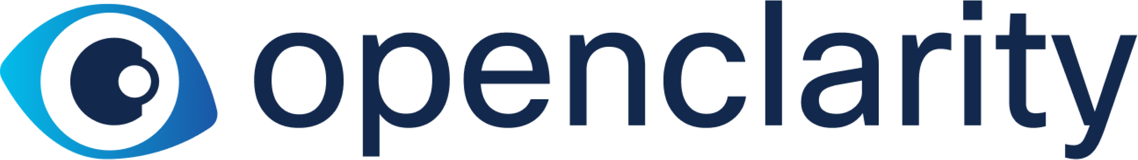 Logo di OpenClarity