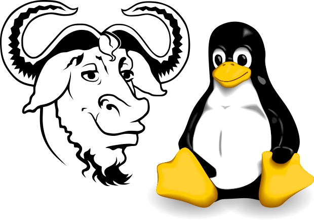 Configuration-Ruleset-on-GNU-Linux