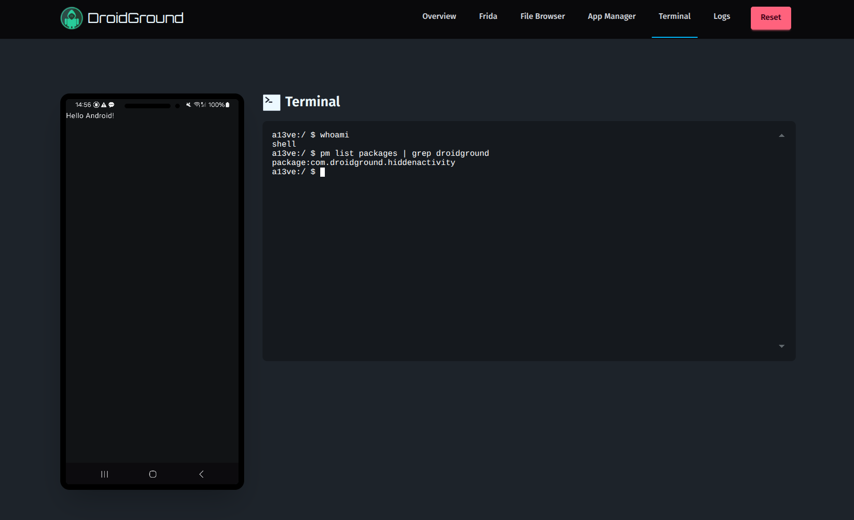 Screenshot Terminal