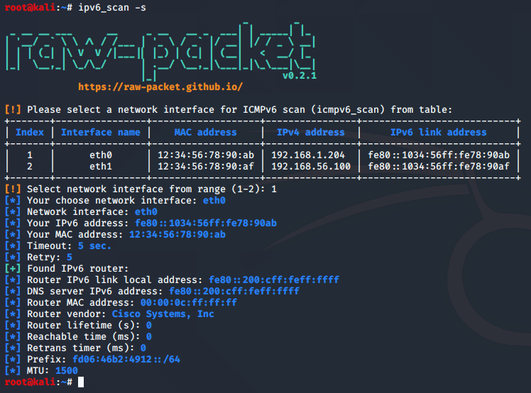 Salida de ipv6_router_search