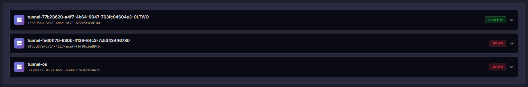 Command Execution
