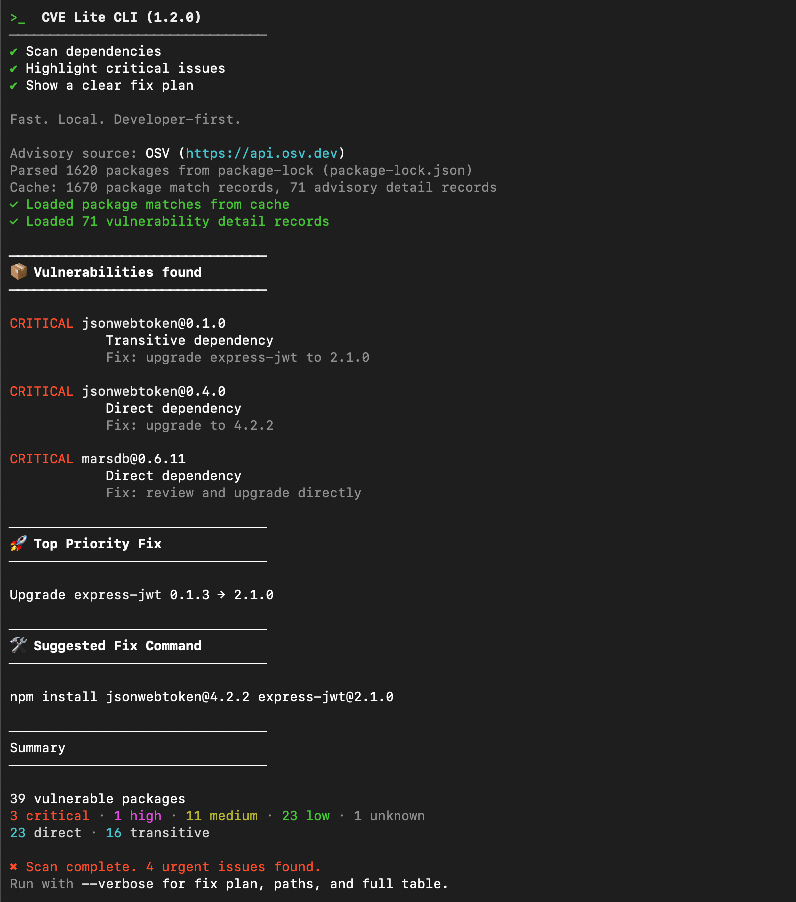CVE Lite CLI 终端输出