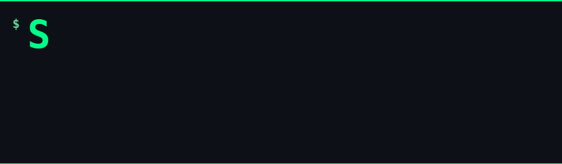 SkillsGuard ASCII animation