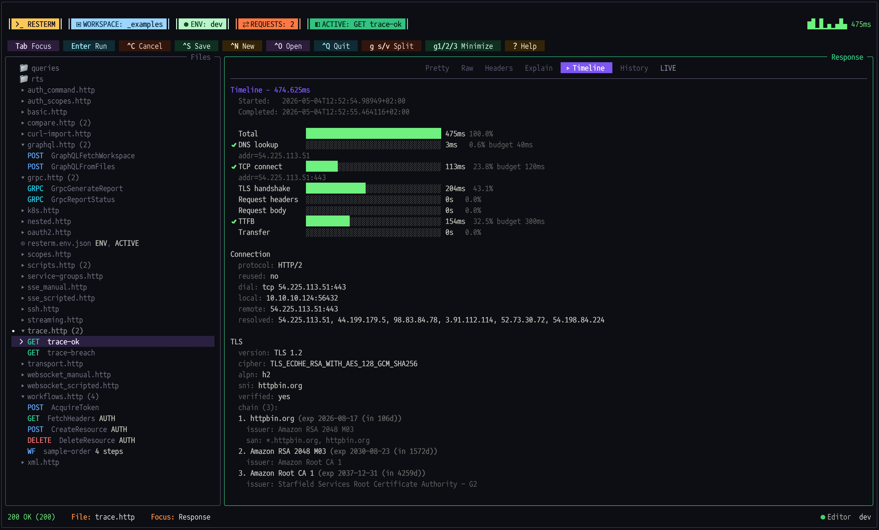 Screenshot of Resterm with timeline