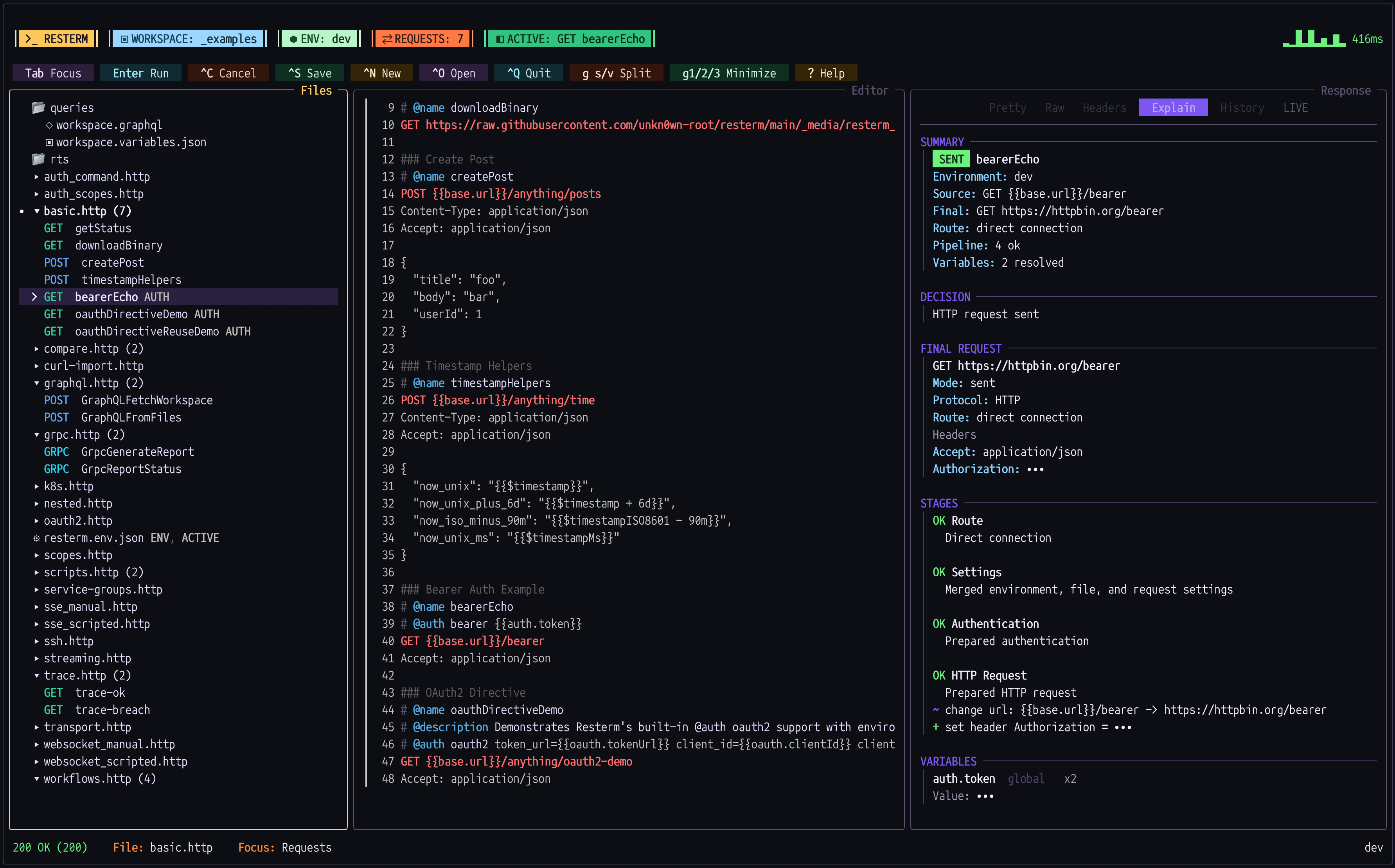 Screenshot of Resterm Explain Tab