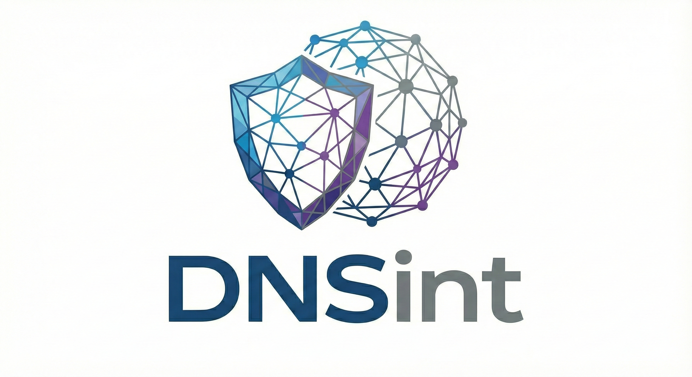 Logo DNSint