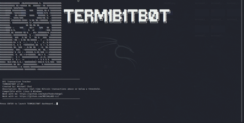 TERM1B1TB0T_bootanimate