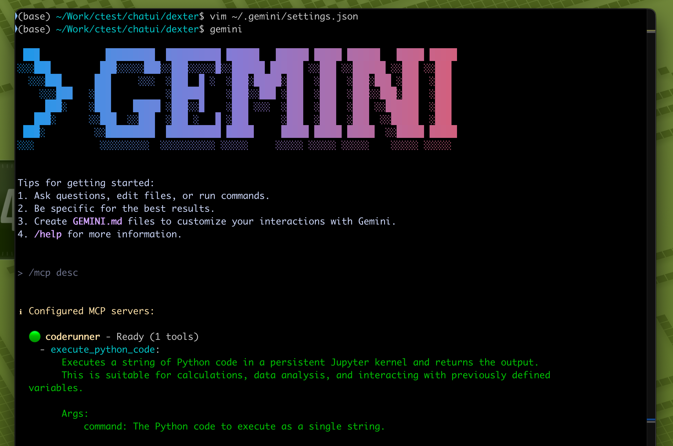 gemini1