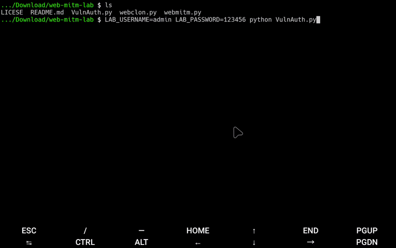 web-mitm-lab preview