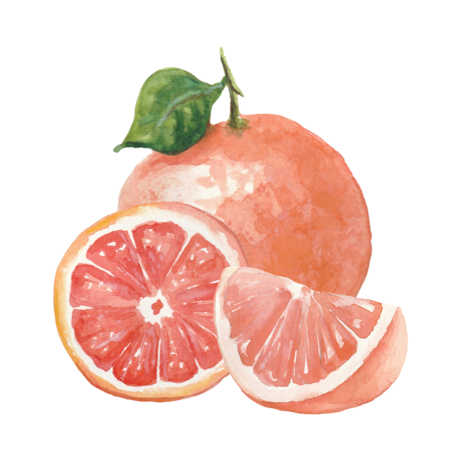 pompelmi preview