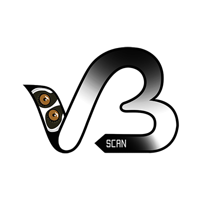 vbscan preview