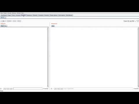 BurpBounty preview