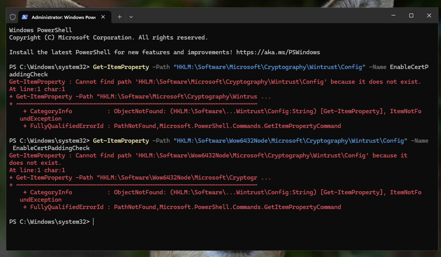 vulnerability-remediation-cve-2013-3900 preview