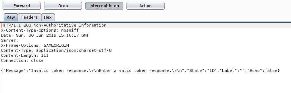 CVE-2019-13496 preview