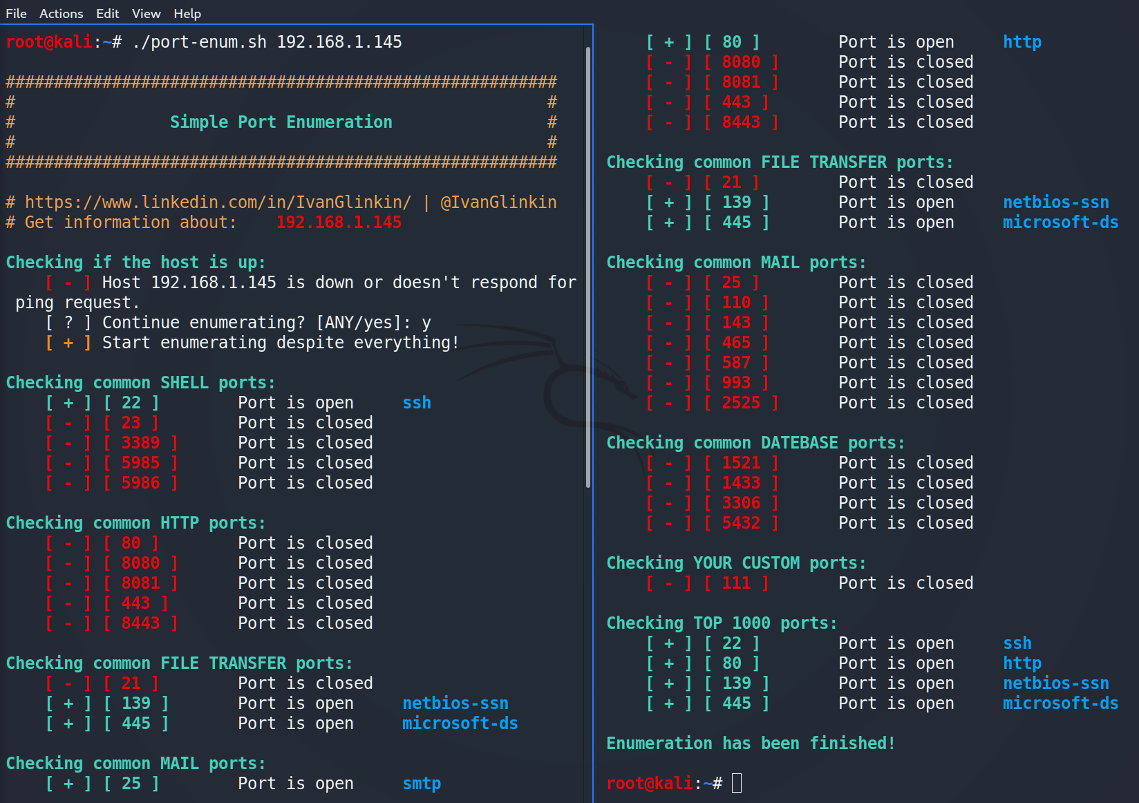 Port-enumeration preview