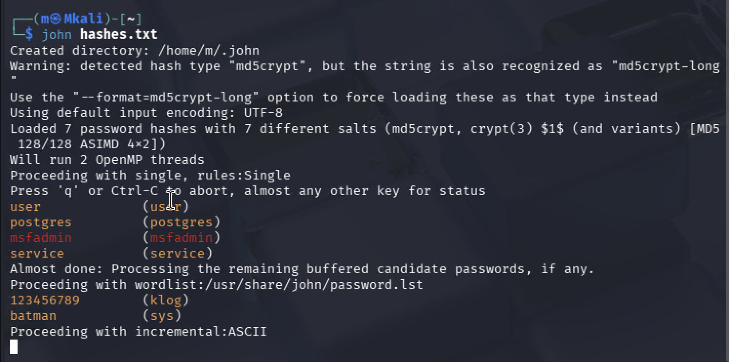 Vulnerability-Assessment-Exploitation-Lab preview