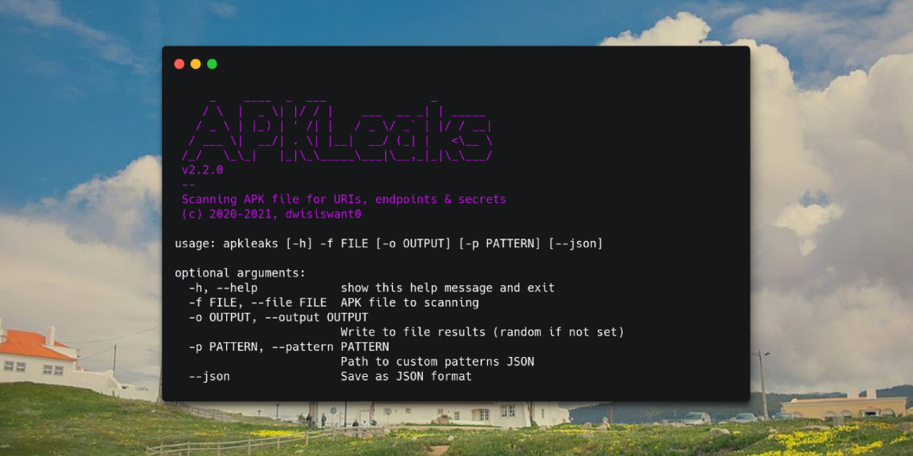 apkleaks preview