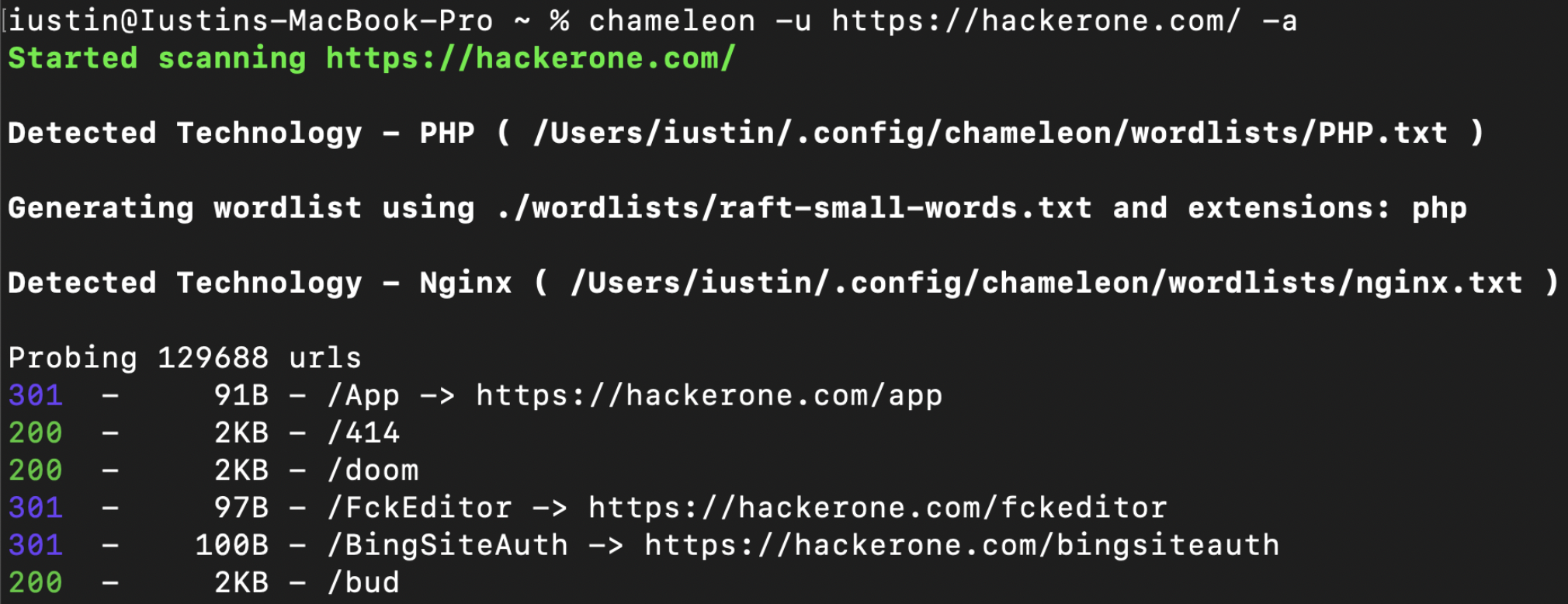 chameleon preview