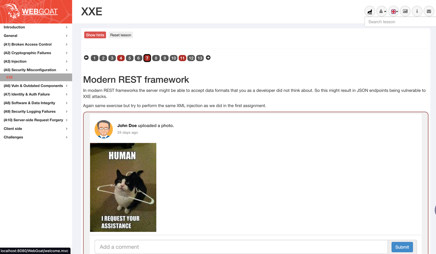 WebGoat preview