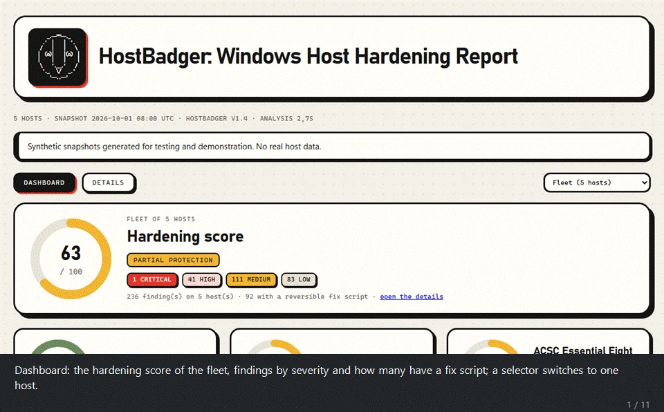 HostBadger preview