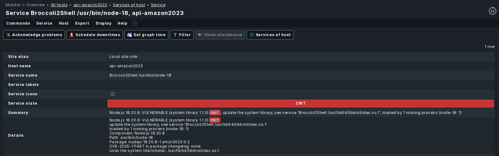 checkmk_broccoli2shell preview